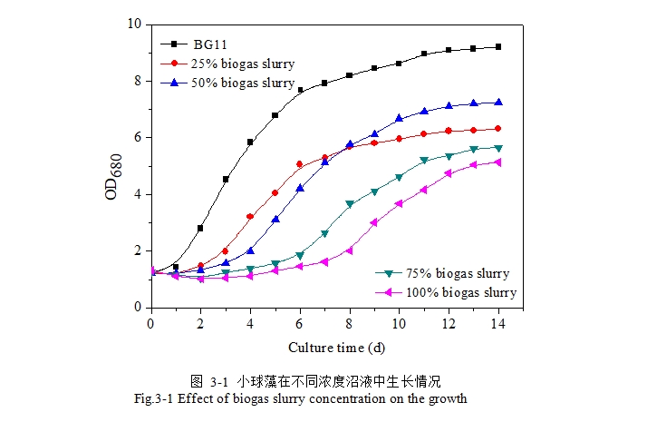 С�����Ӫ���ɷַ���