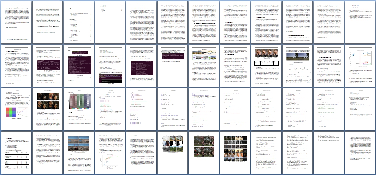 �������˫�߸��ʵʱͼ����ǿ�㷨���о�