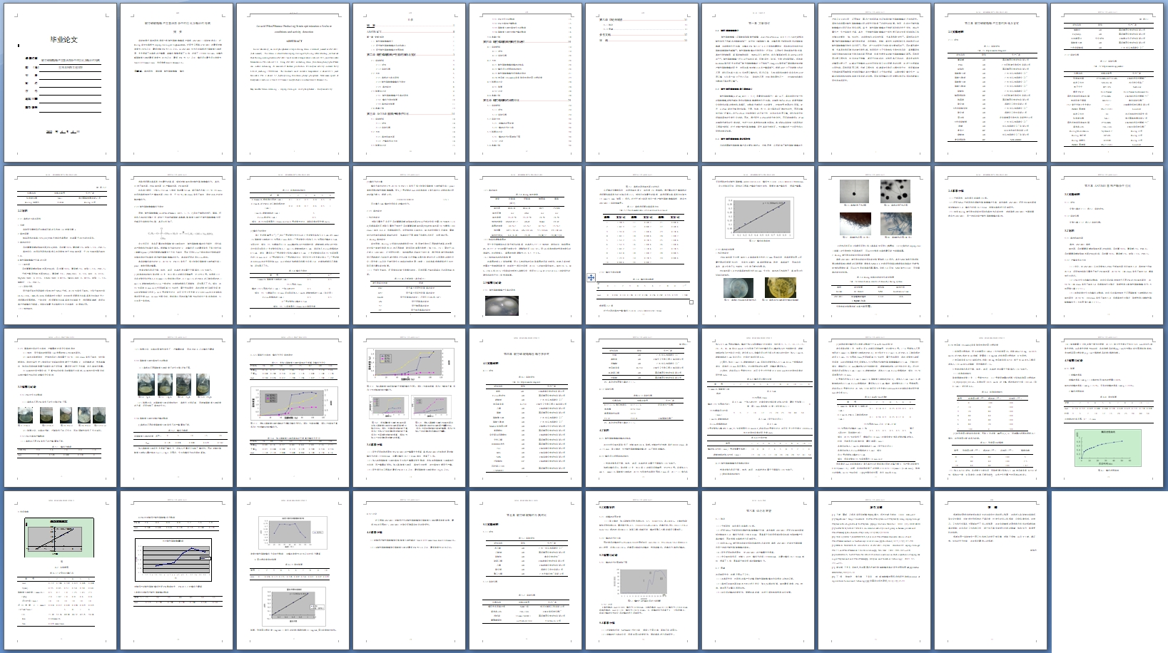 ����������ø�����������������Ż���ø��ļ��